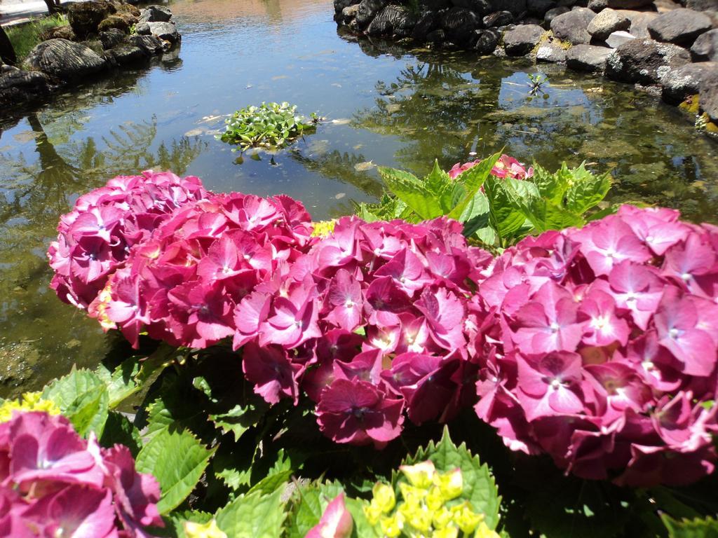 Hotel Rural A Quinta Santo Antonio da Serra 外观 照片